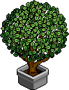 Green Office Plant Habbo Origins rare
