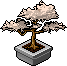 Moonleaf Bonsai Habbo Origins rare