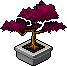 Emberleaf Bonsai Habbo Origins rare