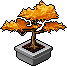 Maple Bonsai Habbo Origins rare