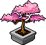 Cherry Blossom Bonsai Habbo Origins rare