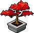 Crimson Leaf Bonsai Habbo Origins rare