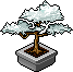 White Lotus Bonsai Habbo Origins rare