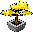 Golden Leaf Bonsai Habbo Origins rare