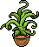 Aloe Vera Habbo Origins rare