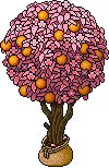 Sacked Ophelie's Sakura Orange Tree Habbo Origins rare