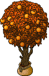 Sacked Orange Tree (Orange) Habbo Origins rare