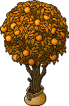 Sacked Orange Tree (Yellow) Habbo Origins rare