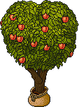 Sacked Peach Tree Habbo Origins rare