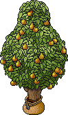 Sacked Pear Tree Habbo Origins rare