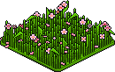 Sakura Patch Habbo Origins rare