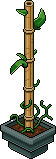 Bamboo Plant Habbo Origins rare