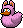 Candy Orchid Duck