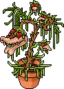Venomus Habbolus Habbo Origins rare