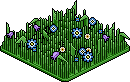 Wildflower Patch Habbo Origins rare